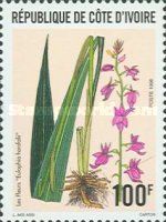 Eulophia horsfalii