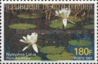 White lotus (Nymphea lotus)