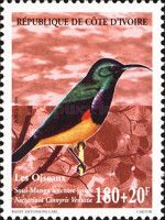 Variable Sunbird (Cinnyris venusta)
