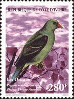Madagascar Green Pigeon (Treron vinago australis)