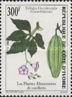 Telfaira occidentalis