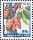 Cacao (blue frame)