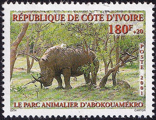 Rhinoxeros