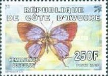 Azure Hairstreak (Hemiolaus caeculus)