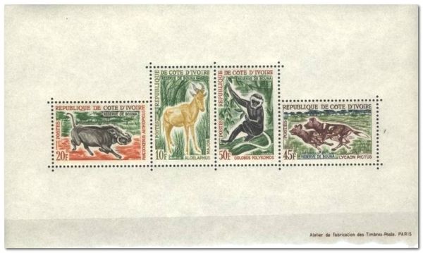 Animals