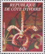 Arachnis flos-aeris