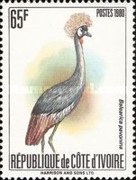 Black Crowned Crane (Balearica pavonina)
