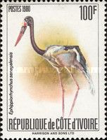 Saddle-billed Stork (Ephippiorhynchus senegalensis)