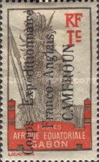 Warrior overprint
