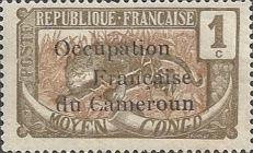 Leopard (Panthera pardus) overprint
