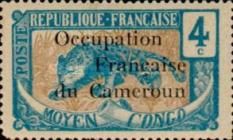 Leopard (Panthera pardus) overprint