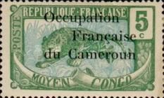 Leopard (Panthera pardus) overprint