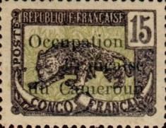 Leopard (Panthera pardus) overprint