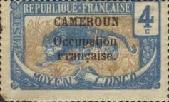 Leopard (Panthera pardus) overprint