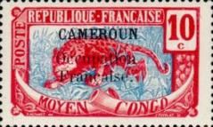 Leopard (Panthera pardus) overprint