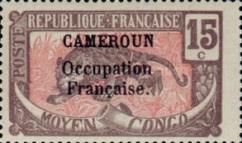 Leopard (Panthera pardus) overprint