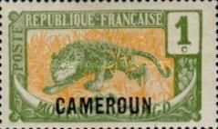 Leopard (Panthera pardus) overprint