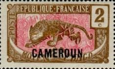 Leopard (Panthera pardus) overprint