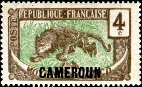 Leopard (Panthera pardus) overprint