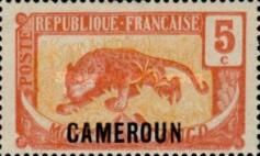 Leopard (Panthera pardus) overprint