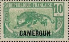 Leopard (Panthera pardus) overprint