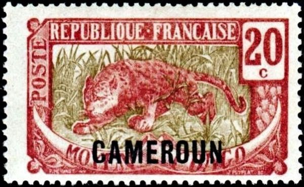 Leopard (Panthera pardus) overprint
