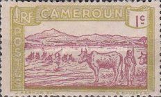 Cattle Crossing a River