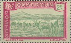 Cattle Crossing a River