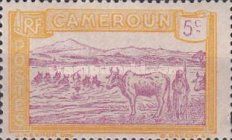 Cattle Crossing a River