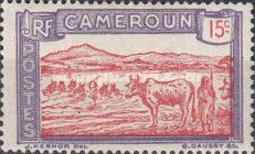 Cattle Crossing a River