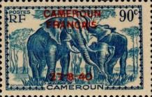 African Elephant (Loxodonta africana) overprint