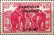 African Elephant (Loxodonta africana) overprint