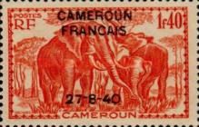 African Elephant (Loxodonta africana) overprint