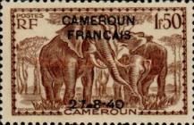 African Elephant (Loxodonta africana) overprint