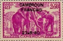 African Elephant (Loxodonta africana) overprint