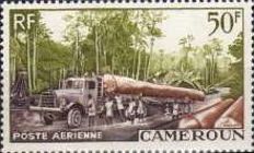 Timber Transport