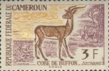 Ugandan Kob (Kobus kob)