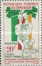 Student under Palm Tree