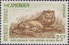 Lion (Panthera leo)