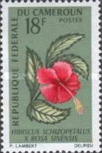 Hibiscus Schizopetalus X Rosa Sinensis