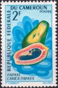 Papaya