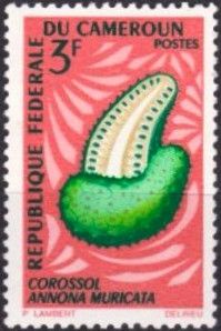 Soursop