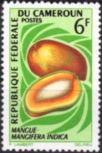 Mango (Mangifera indica)