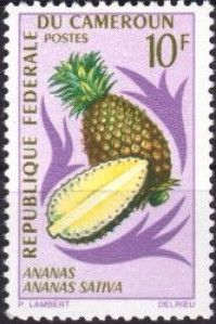 Pineapple (Ananas sativa)