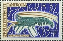 Royal Spiny Lobster (Panulirus regius)