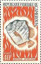 African Sicklefish (Drepane africana)