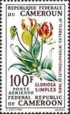 Gloriosa simplex