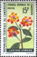 Red Sage (Lantana camara)
