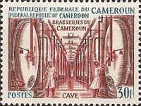 Cellar with Barrels
