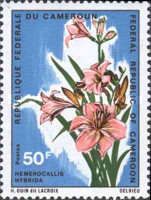 Daylilly (Hemerocallis hybrida)